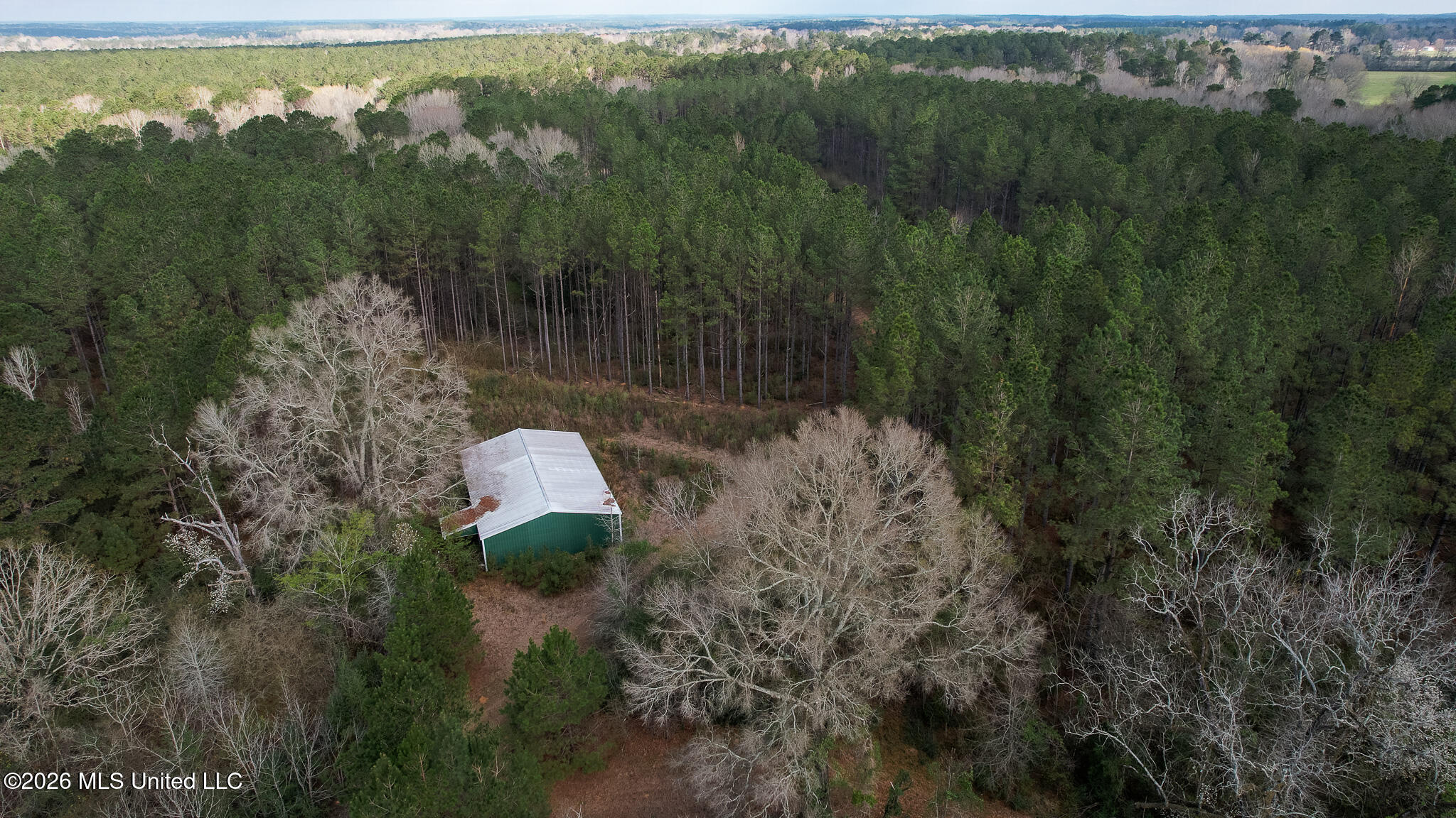 Frog Ridge Road Property Photo 48
