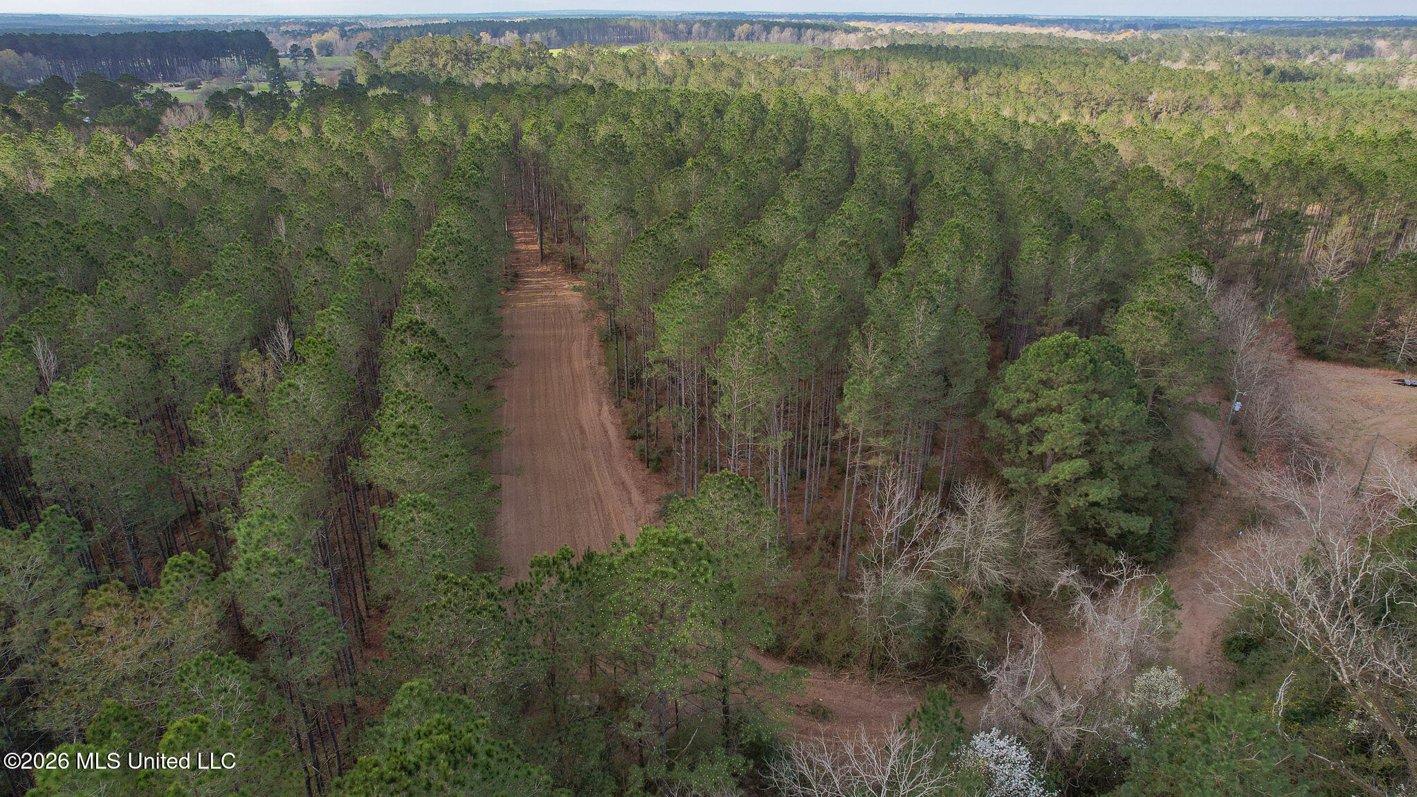 Frog Ridge Road Property Photo 49