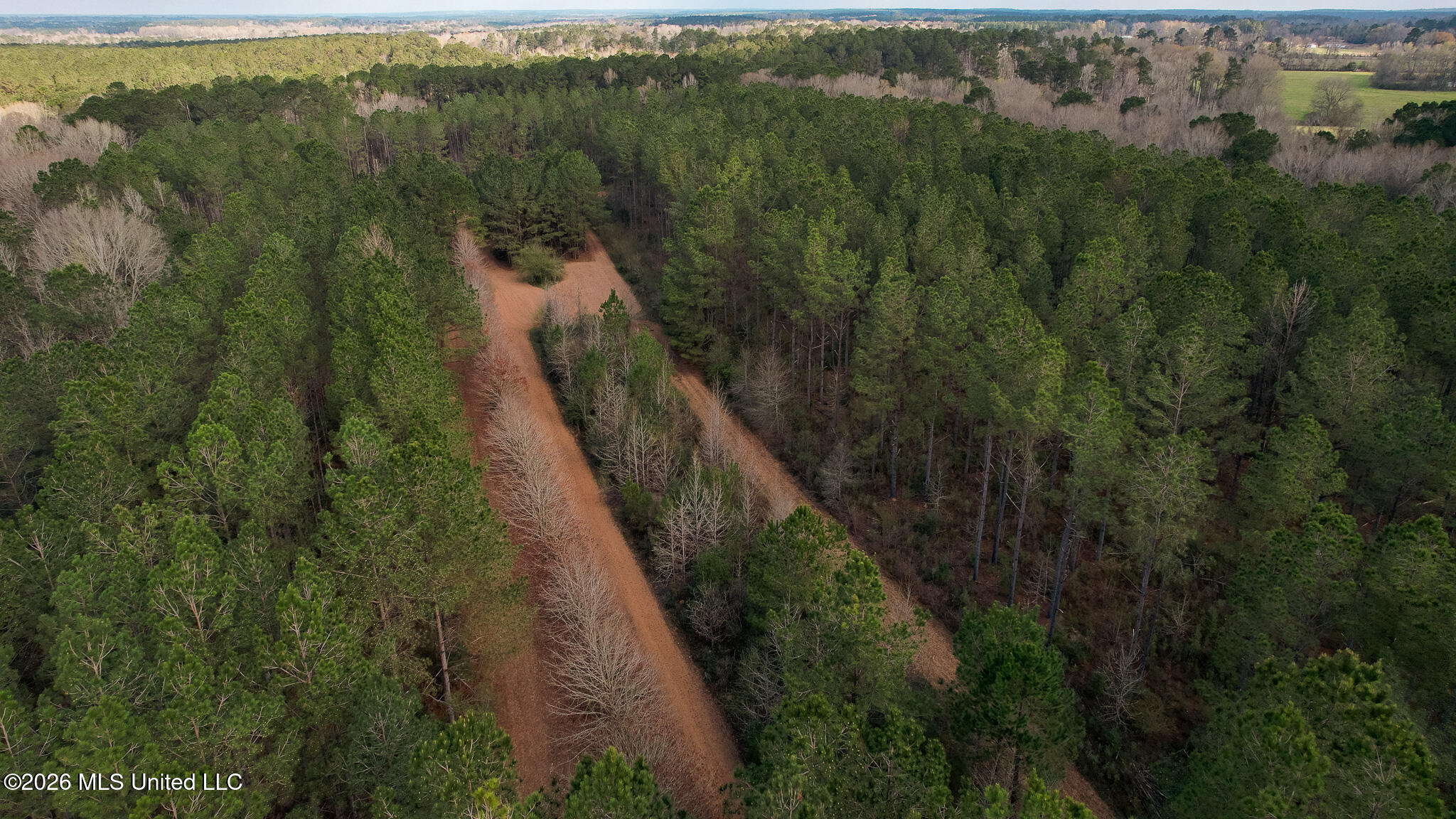 Frog Ridge Road Property Photo 50