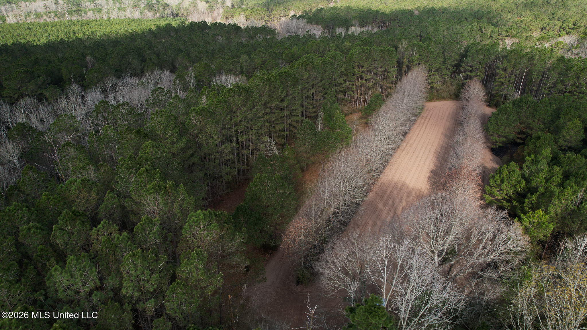 Frog Ridge Road Property Photo 51