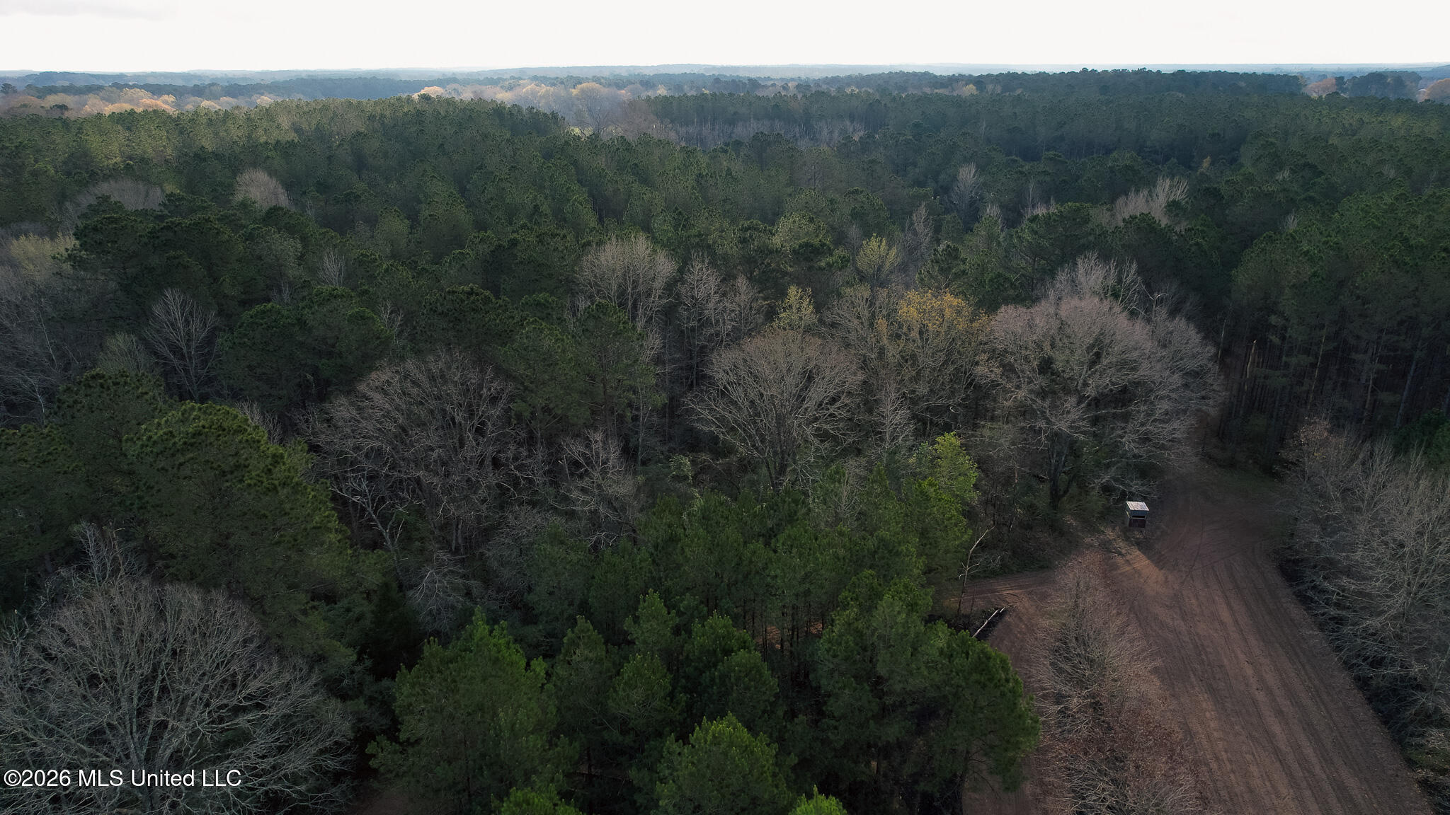 Frog Ridge Road Property Photo 52