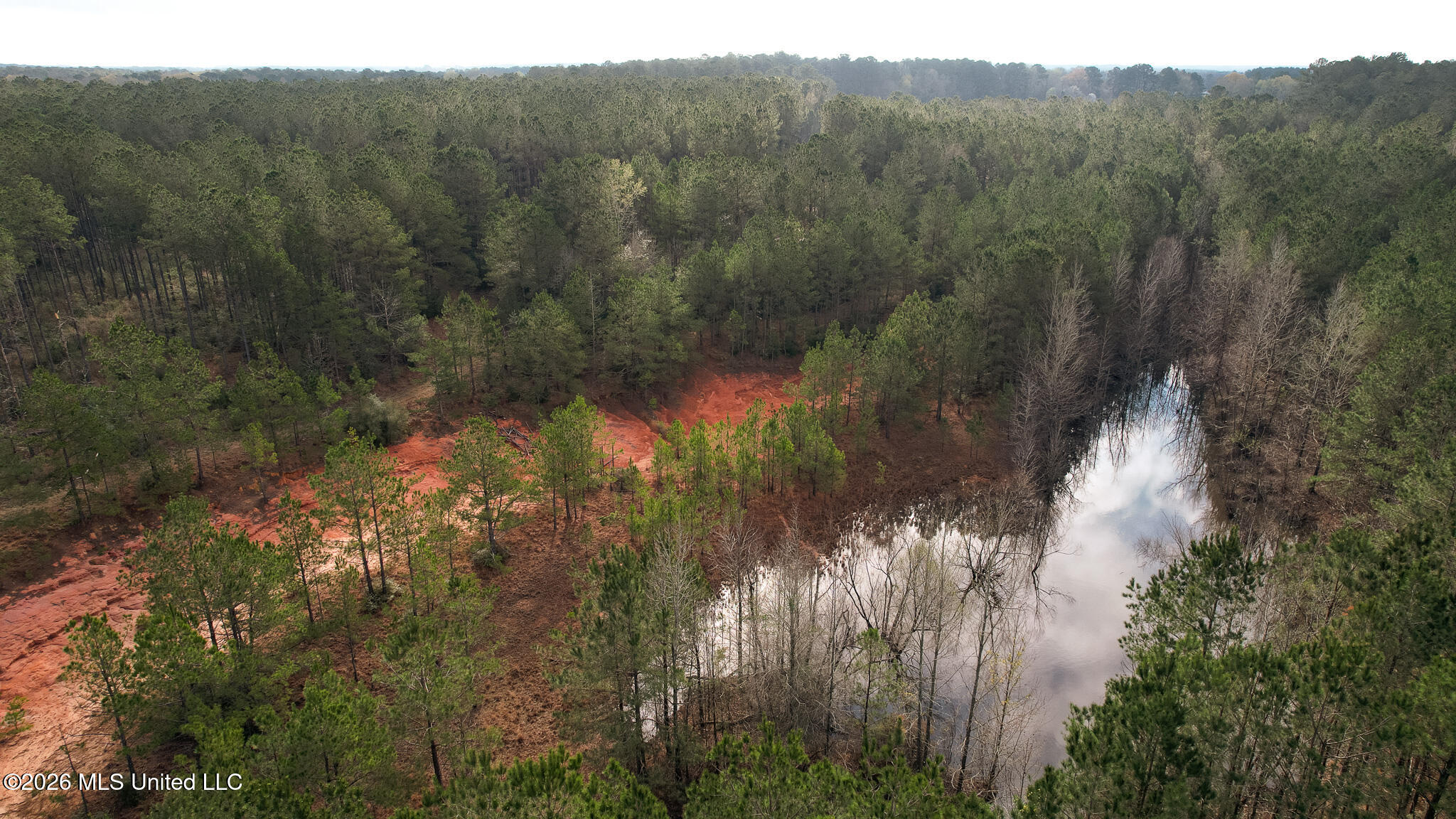 Frog Ridge Road Property Photo 53
