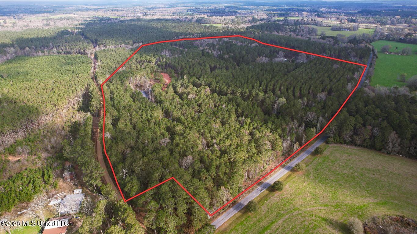 Frog Ridge Road Property Photo 55