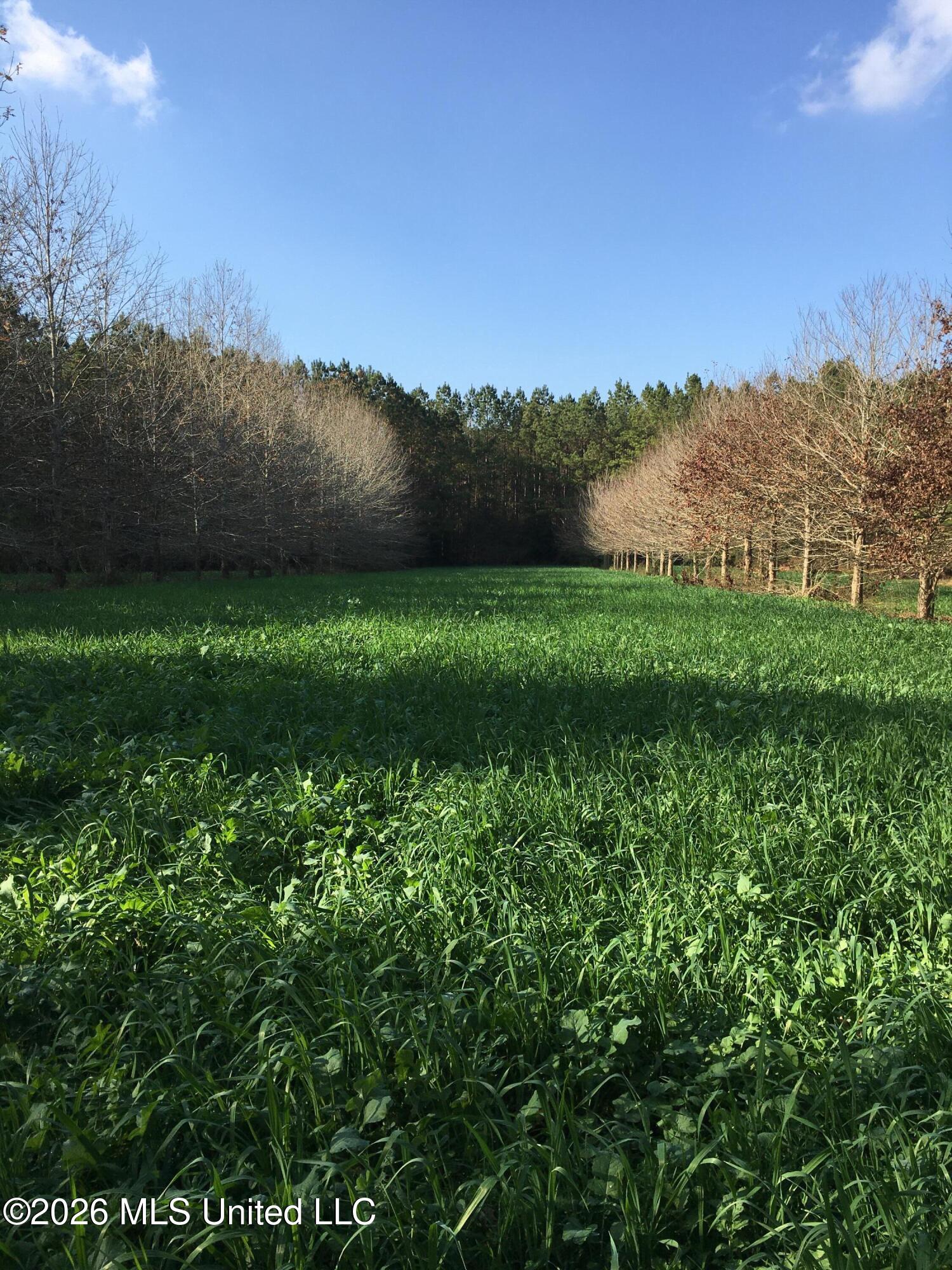 Frog Ridge Road Property Photo 60
