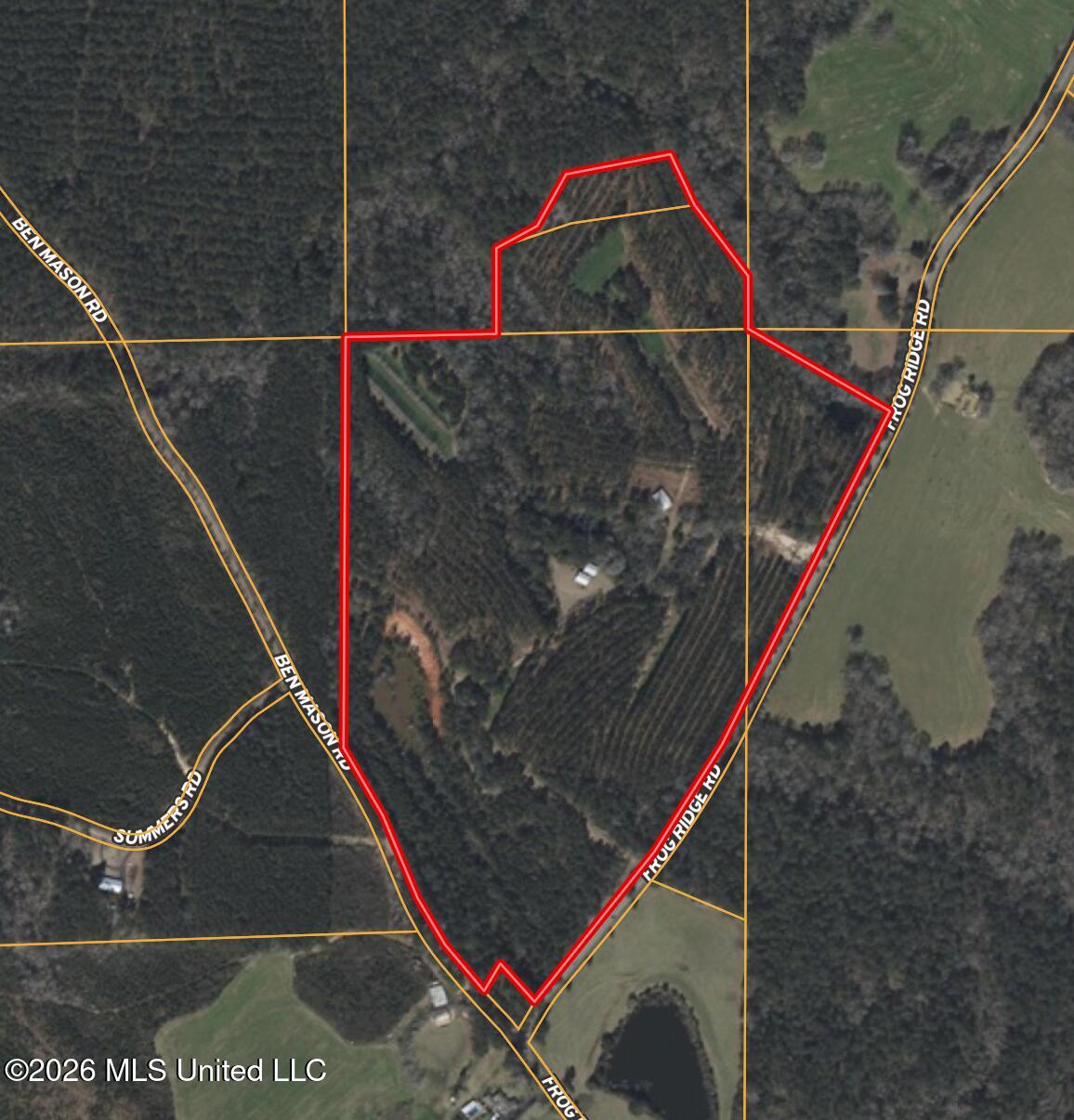Frog Ridge Road Property Photo 62