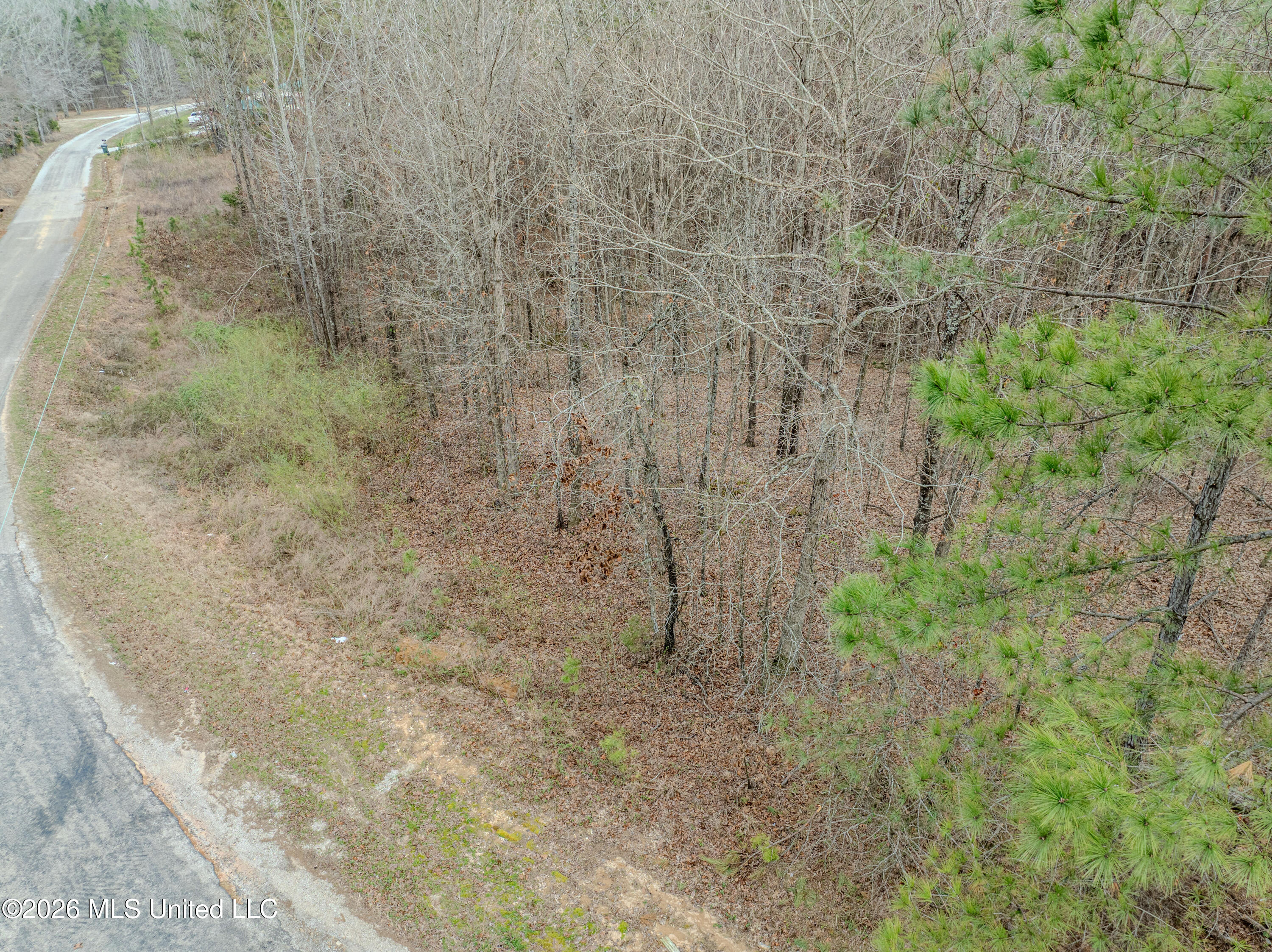 Wilkins Chapel Road Property Photo 12