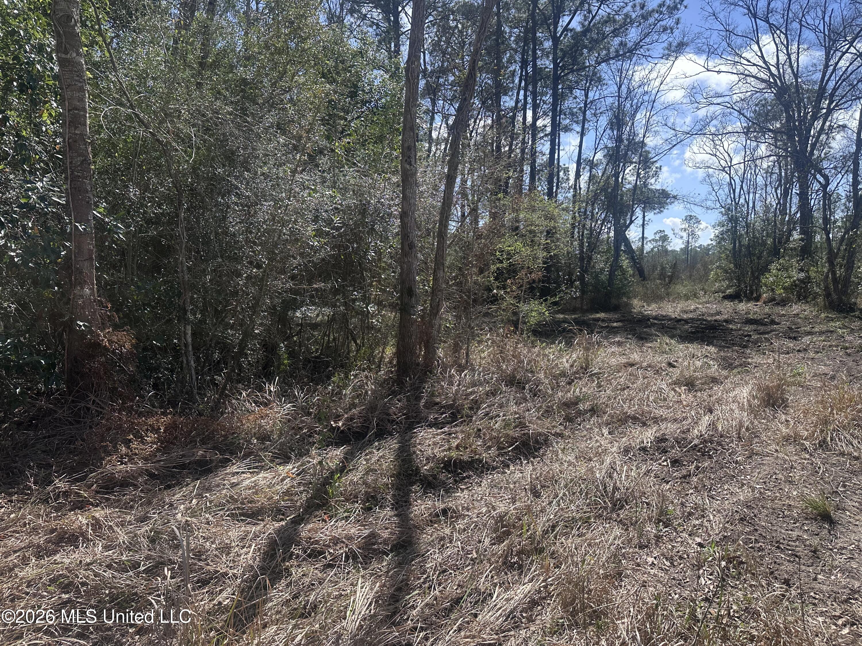 Orange Grove Road Property Photo 2