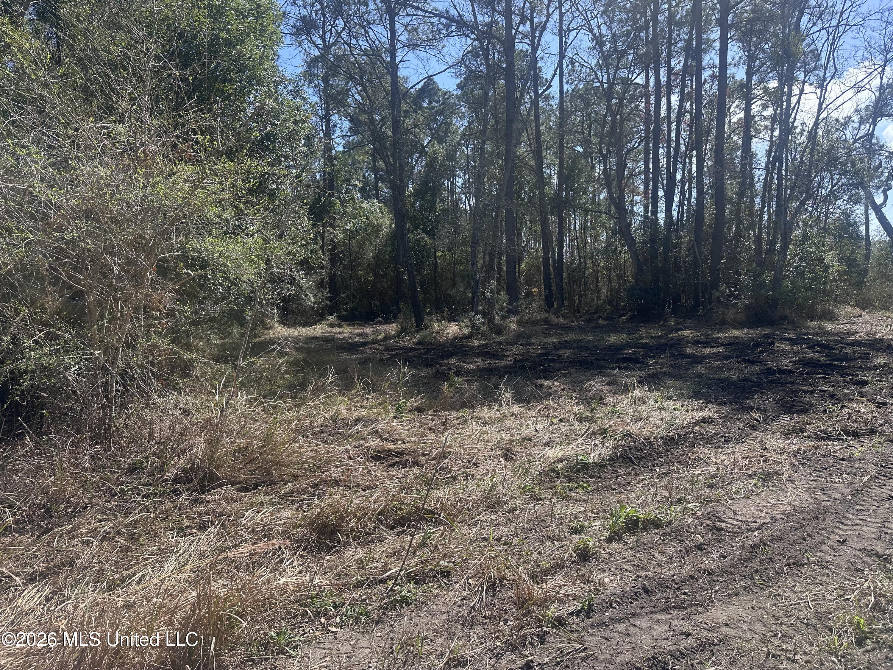 Orange Grove Road Property Photo 3