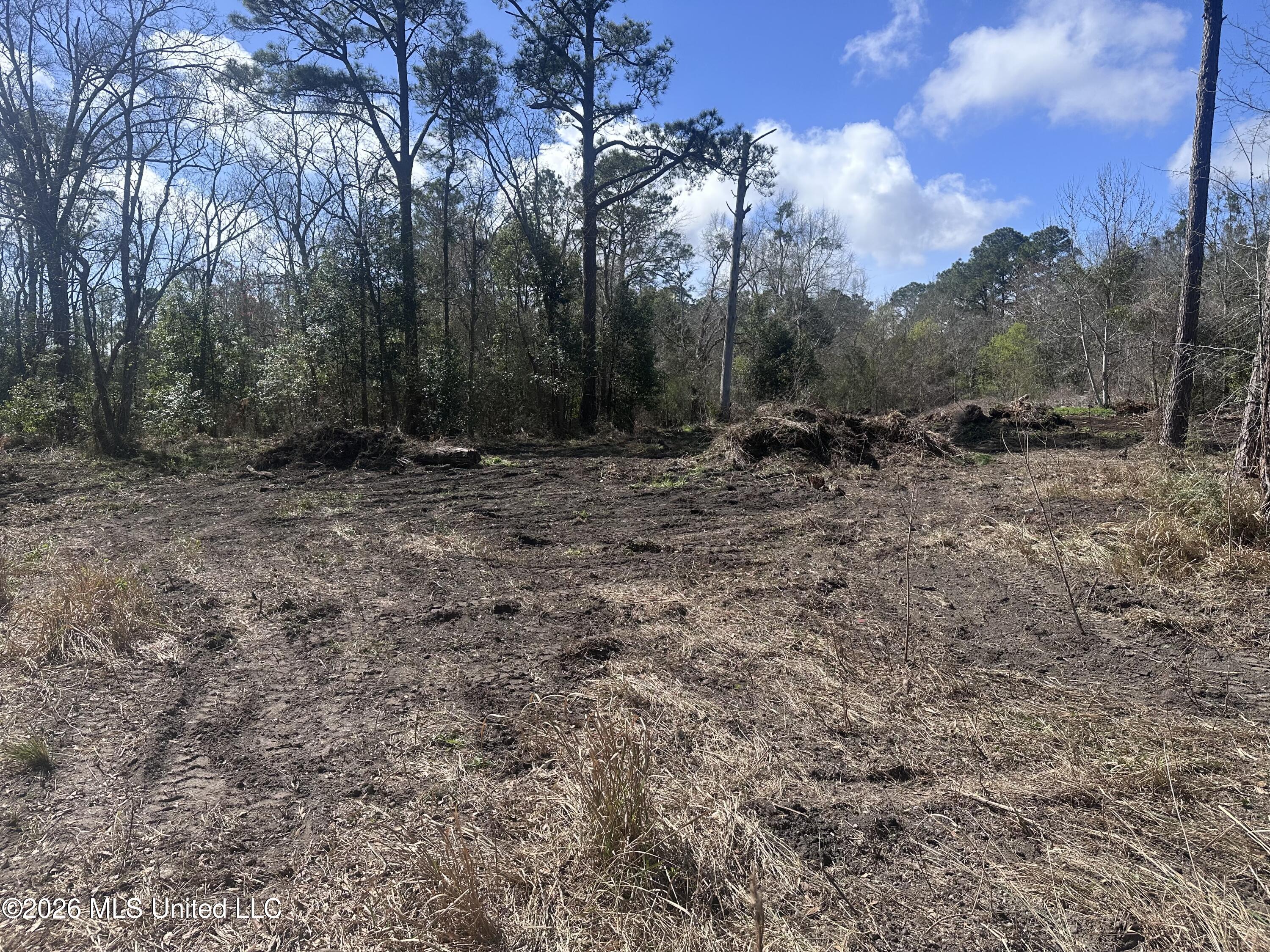 Orange Grove Road Property Photo 4