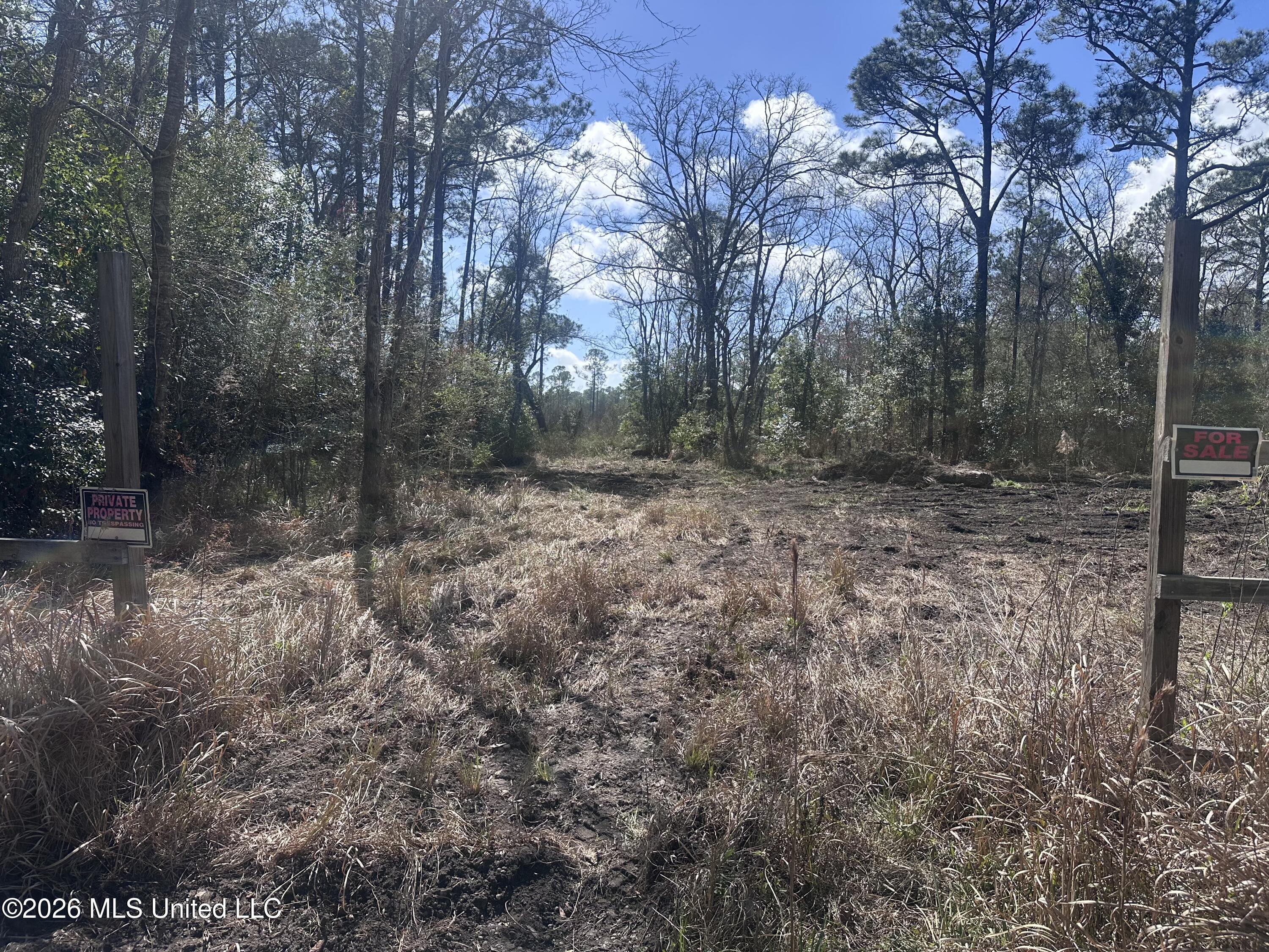 Orange Grove Road Property Photo 5