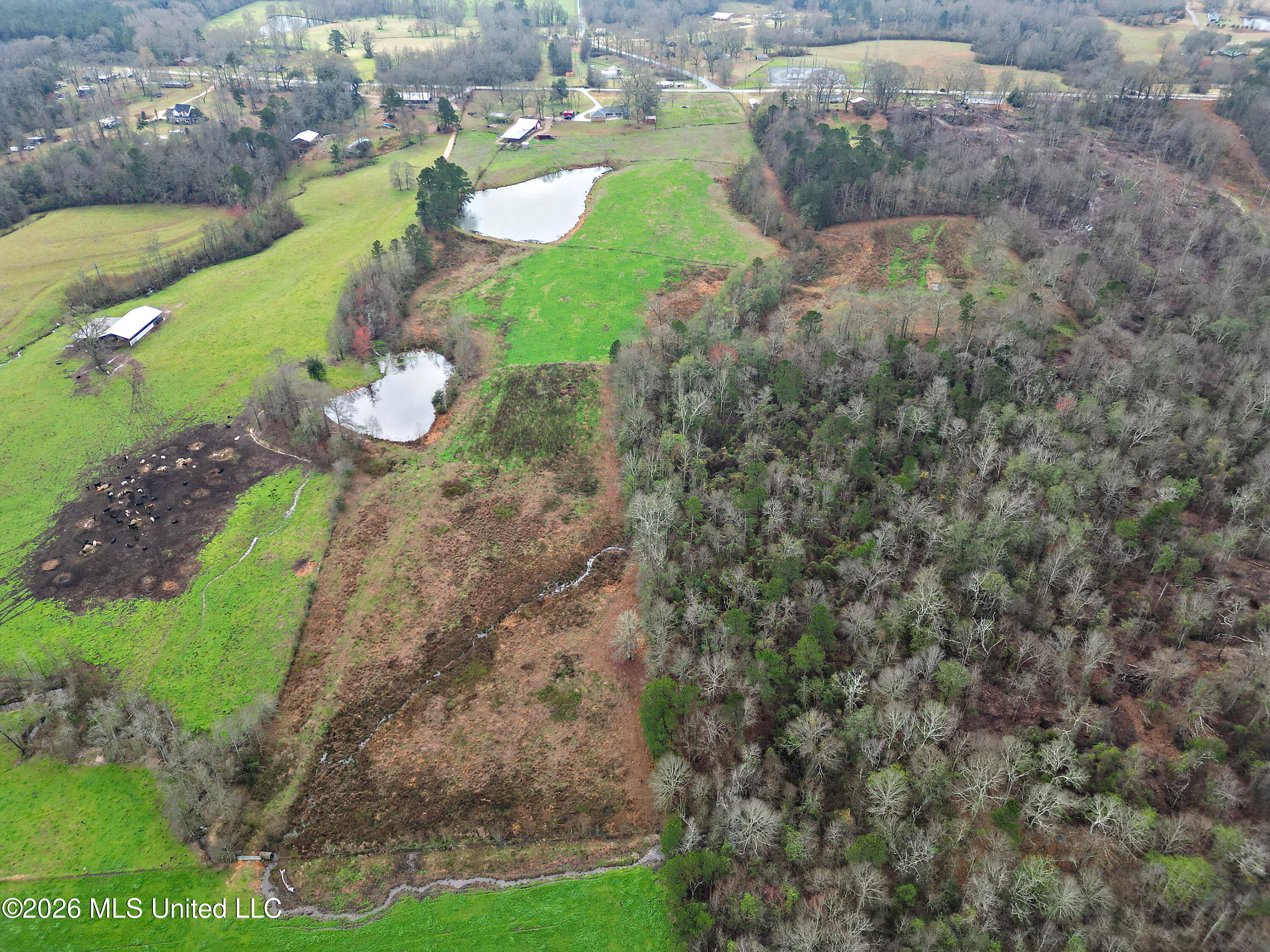 1837 Highway 588 Property Photo 5