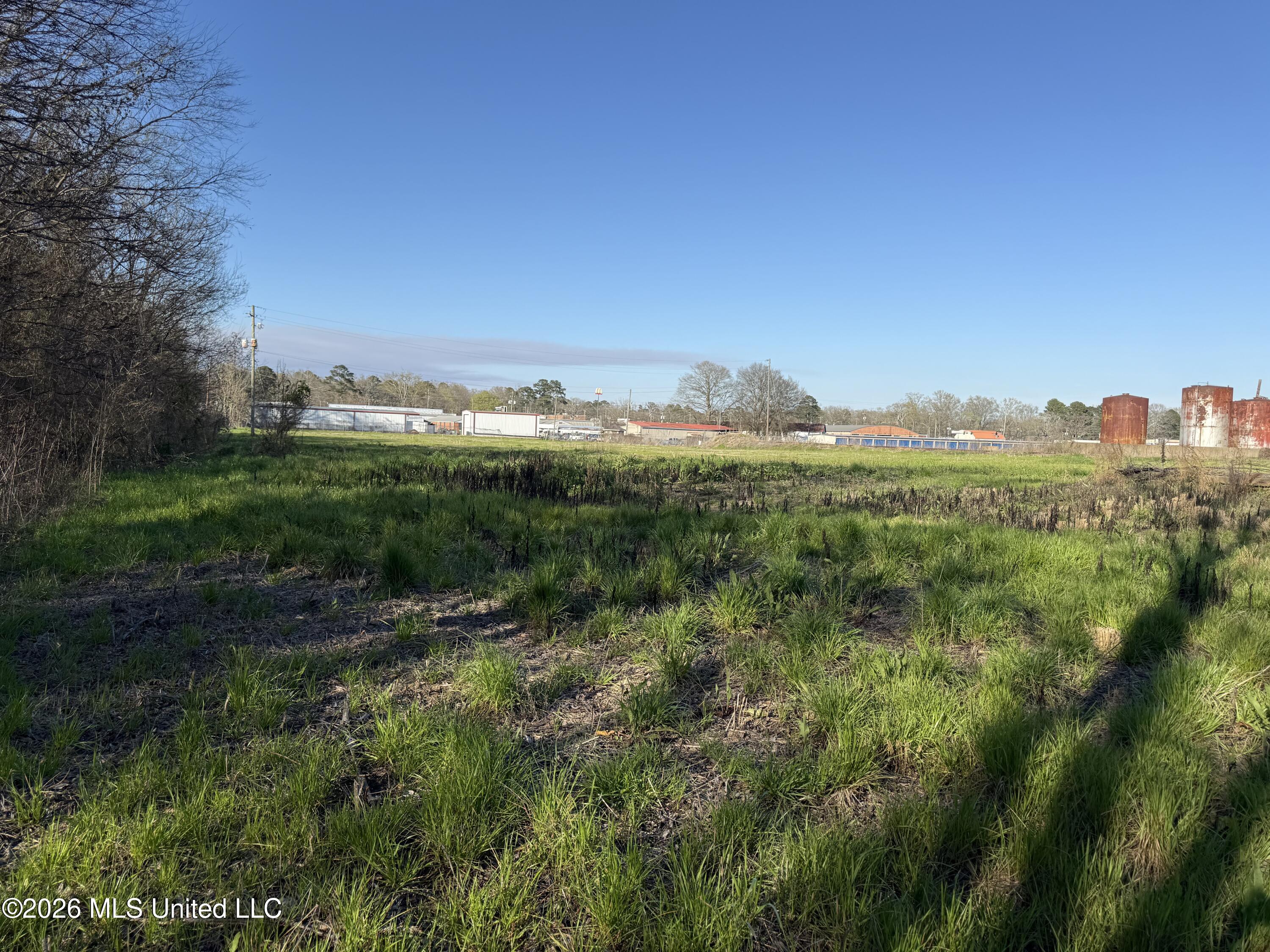 0 Commerce Loop Property Photo 5