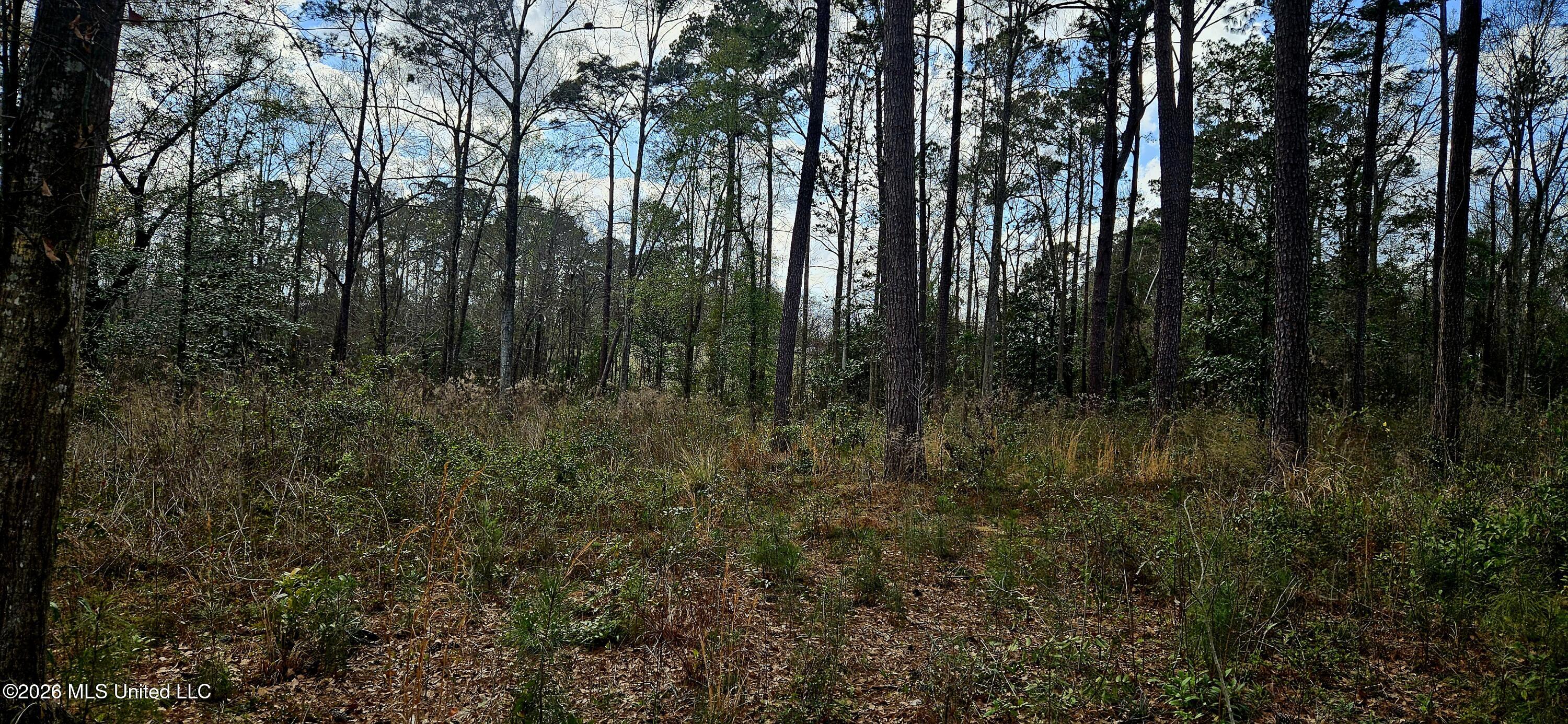 Us-11 Property Photo 6