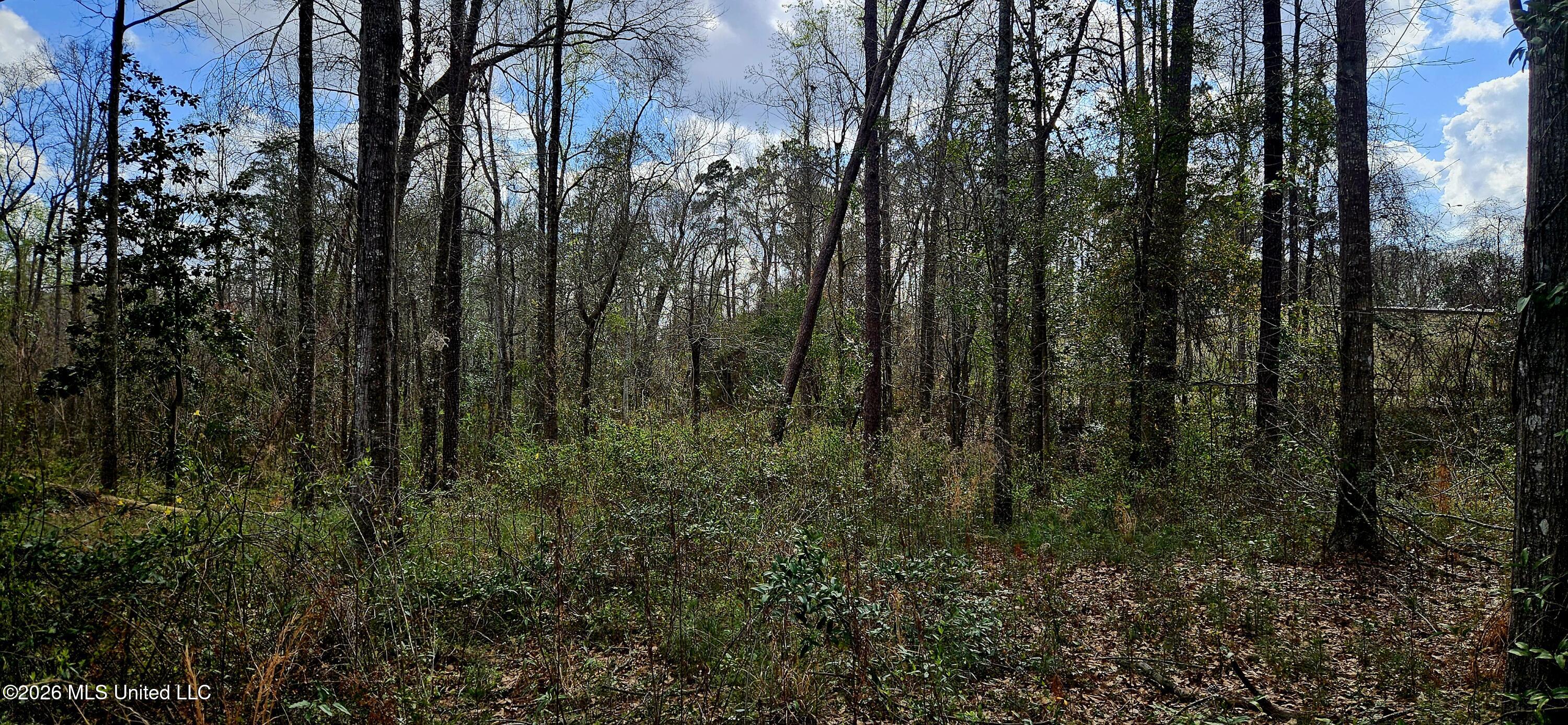 Us-11 Property Photo 7