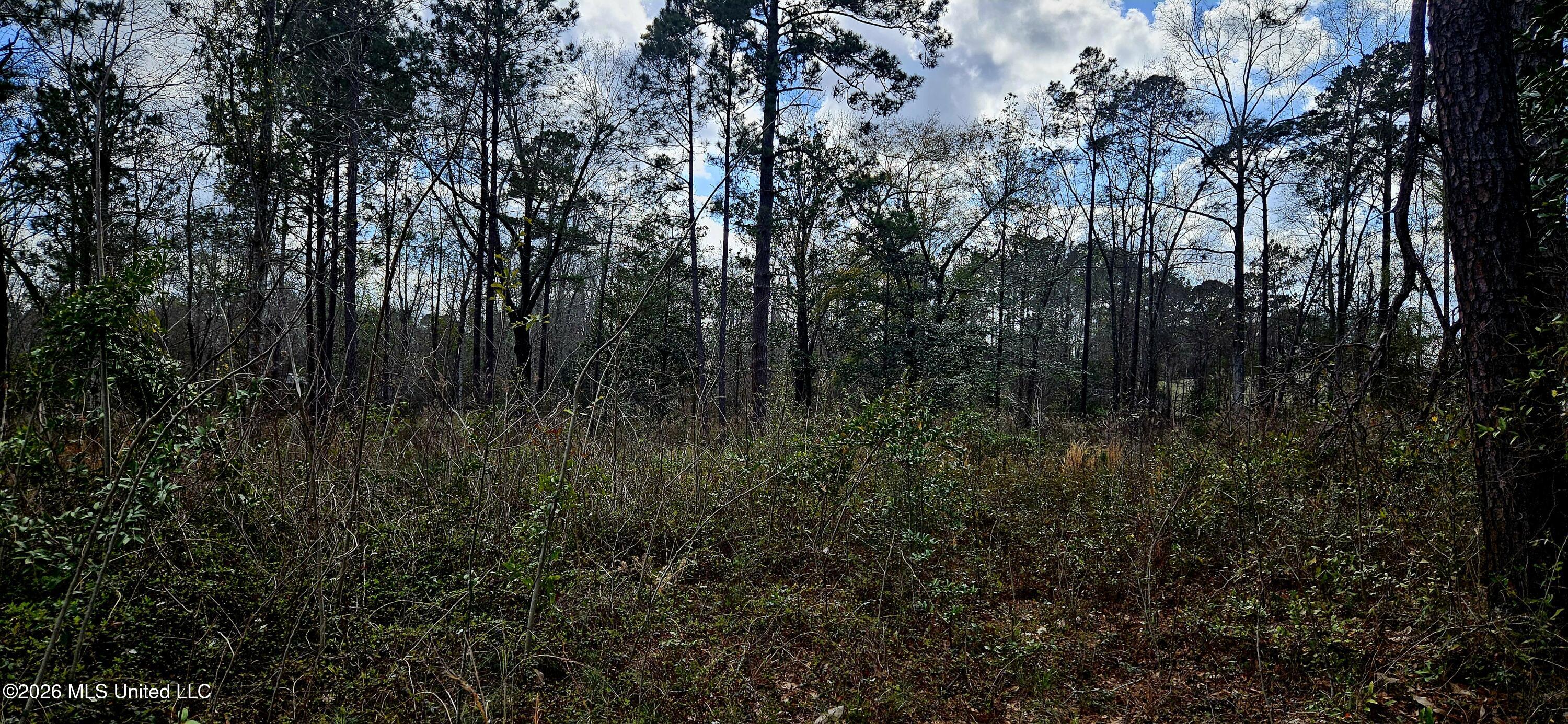 Us-11 Property Photo 8