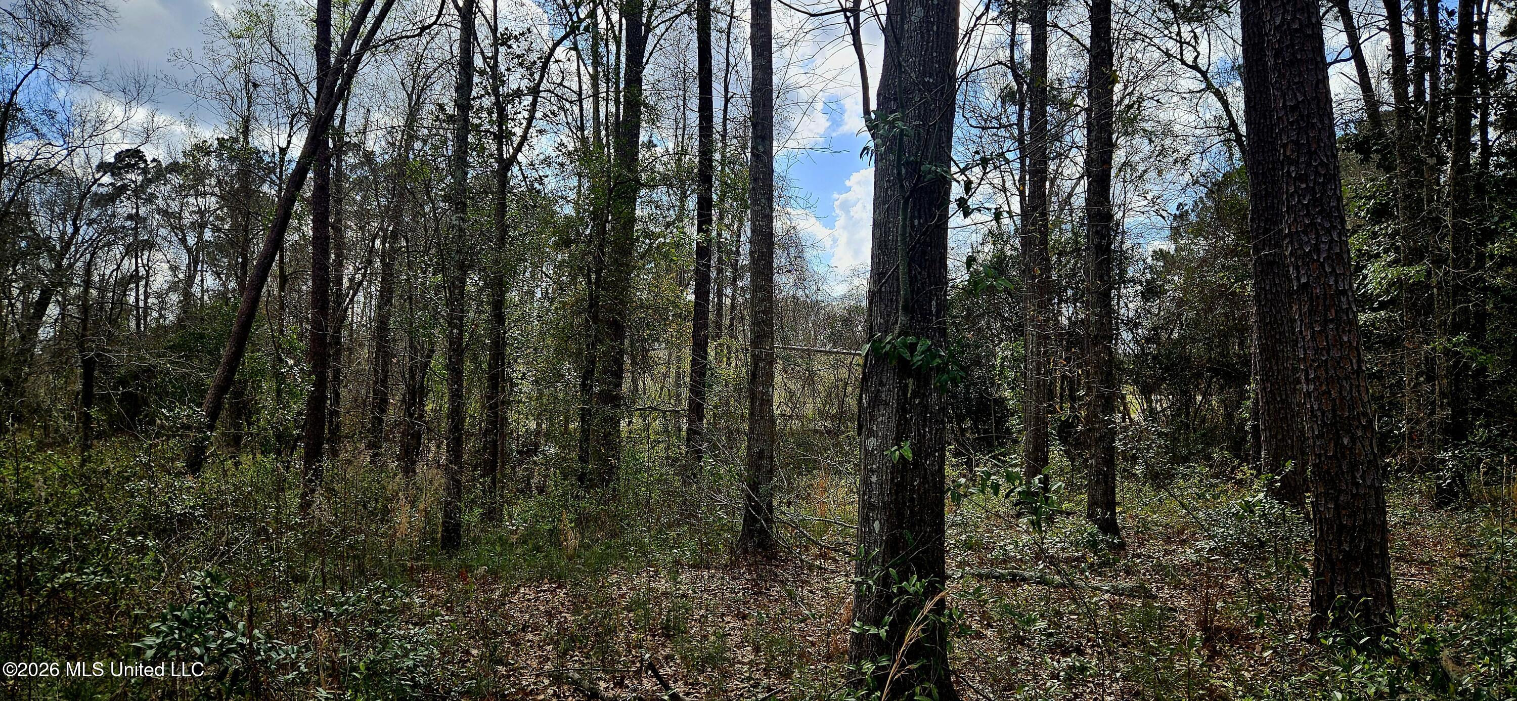 Us-11 Property Photo 10