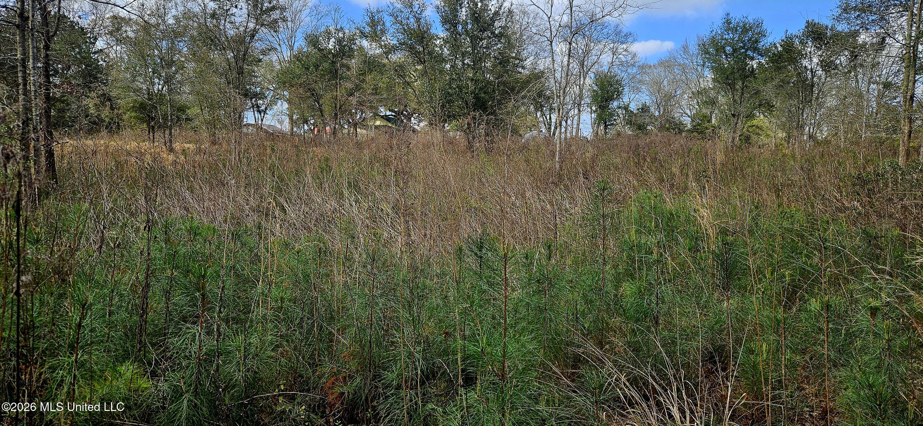 Us-11 Property Photo 12