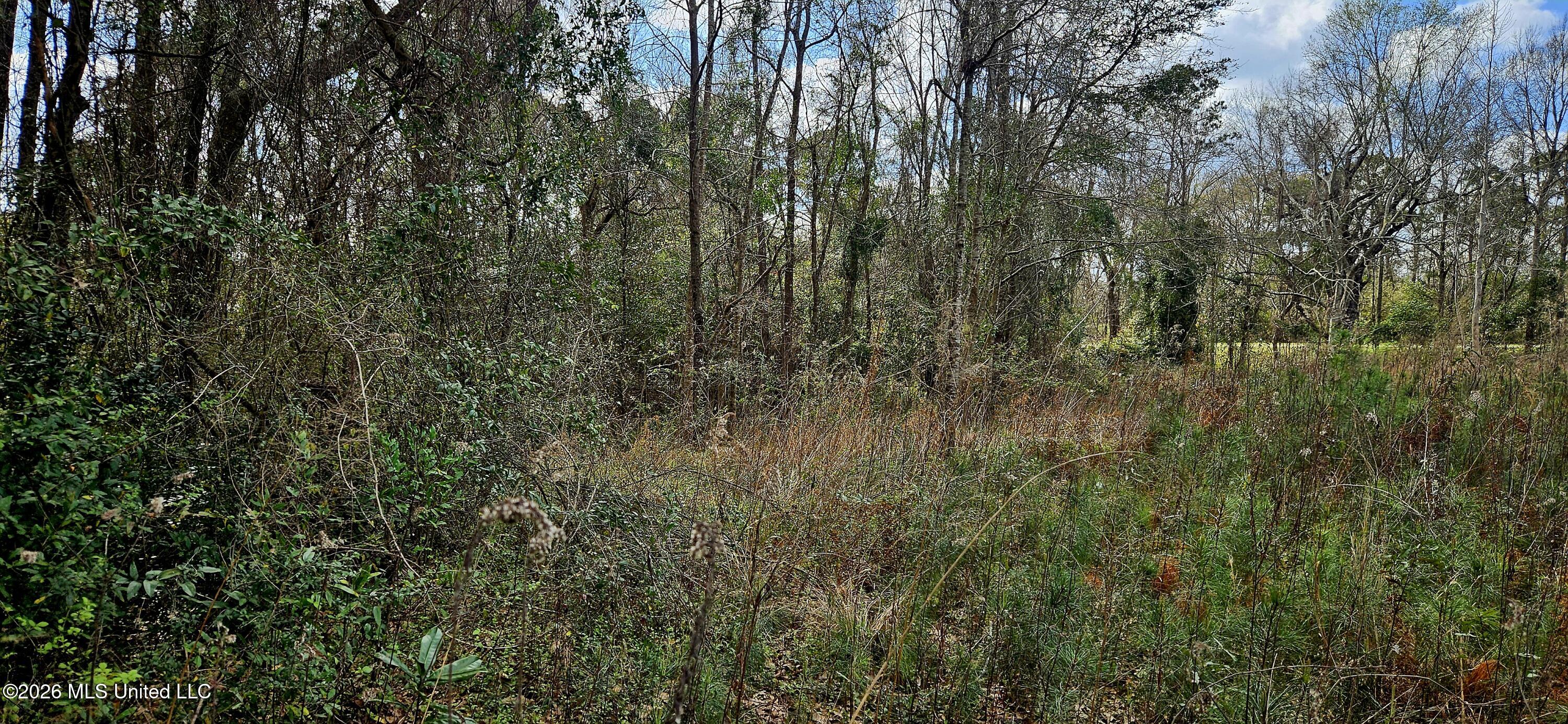 Us-11 Property Photo 13