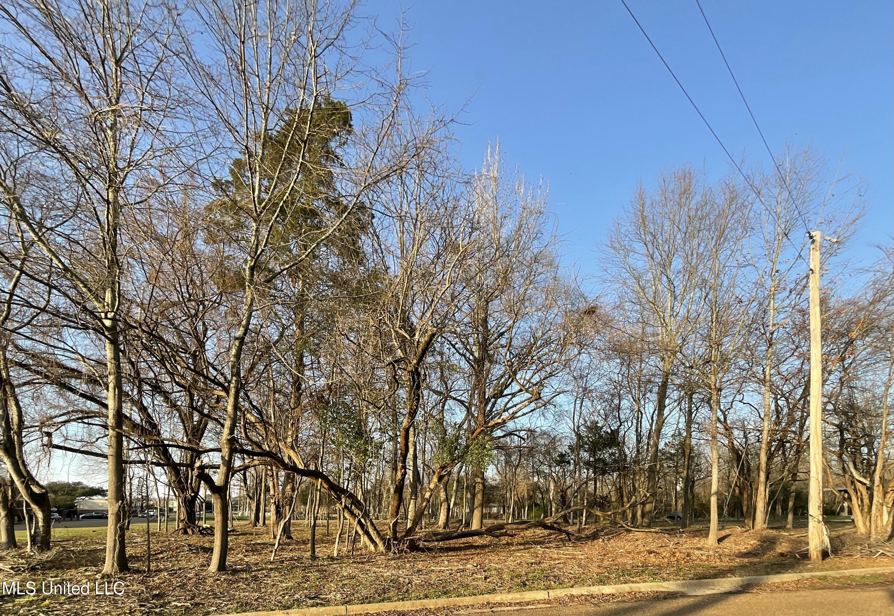 4910 Old Canton Road Property Photo 1