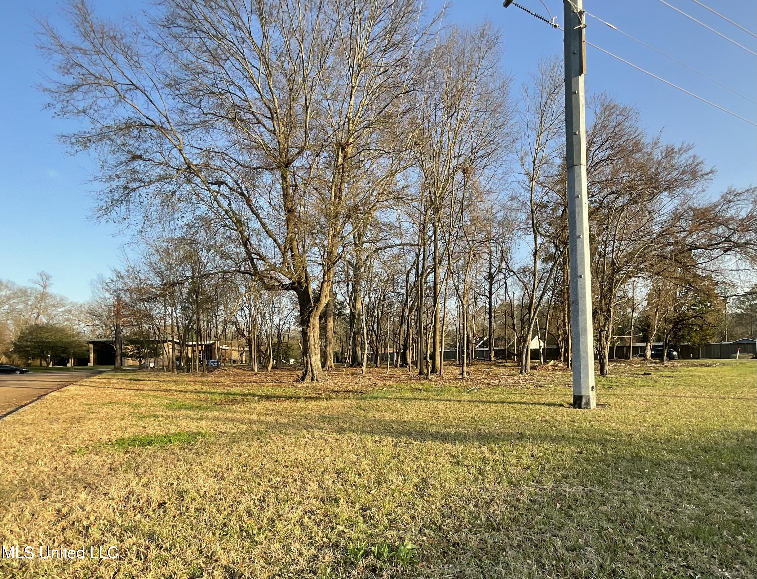 4910 Old Canton Road Property Photo 2