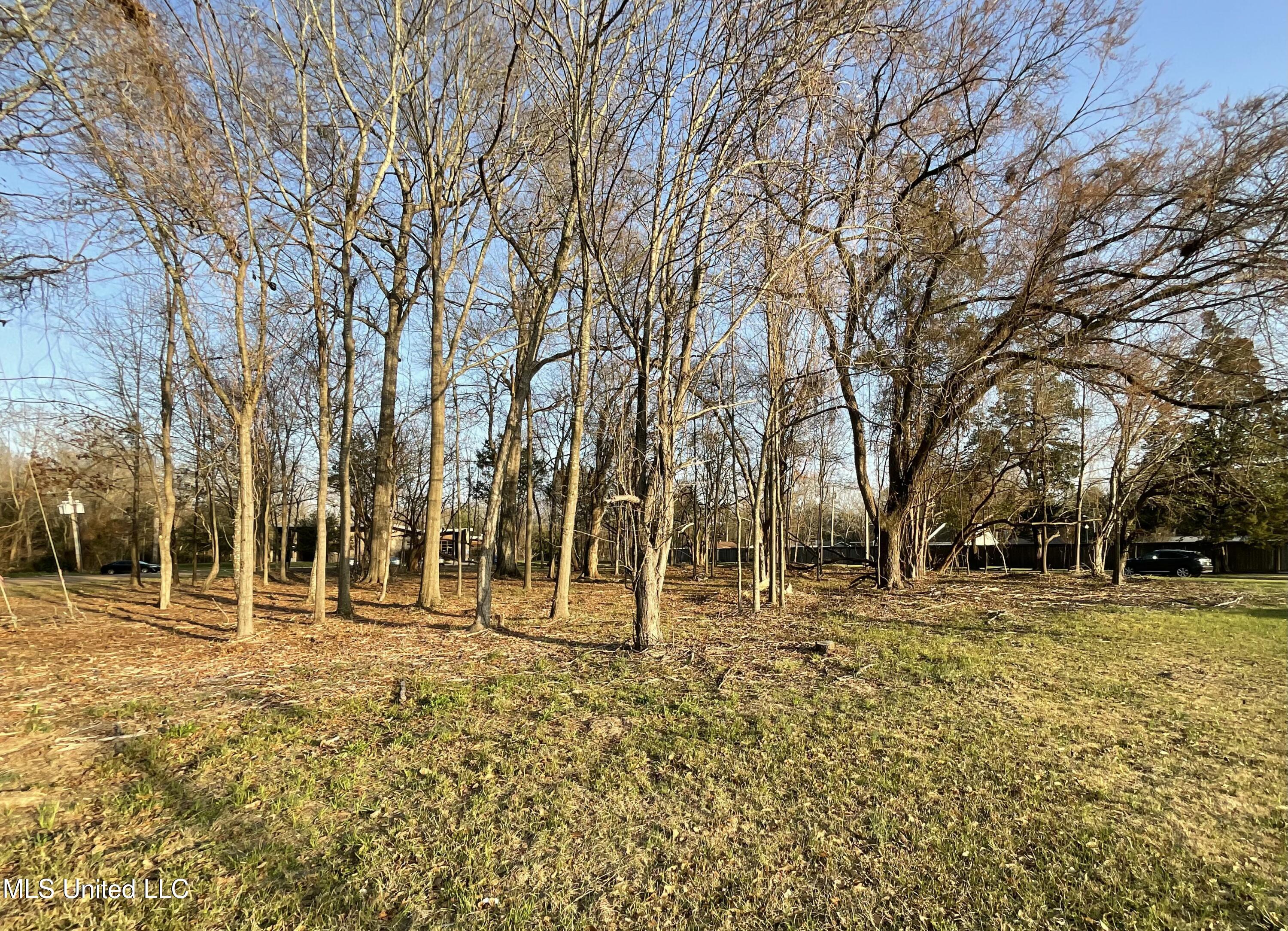 4910 Old Canton Road Property Photo 3