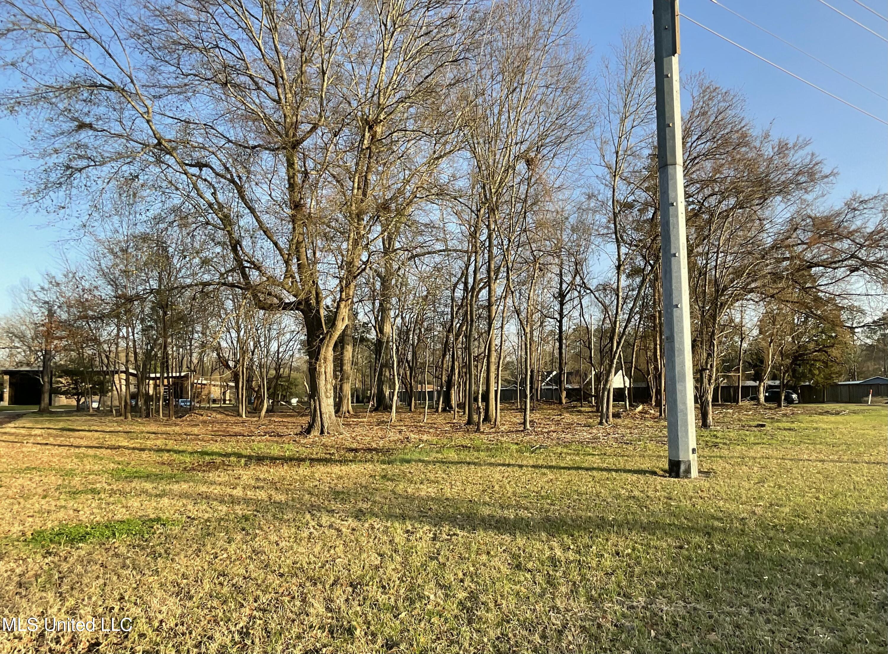 4910 Old Canton Road Property Photo 4