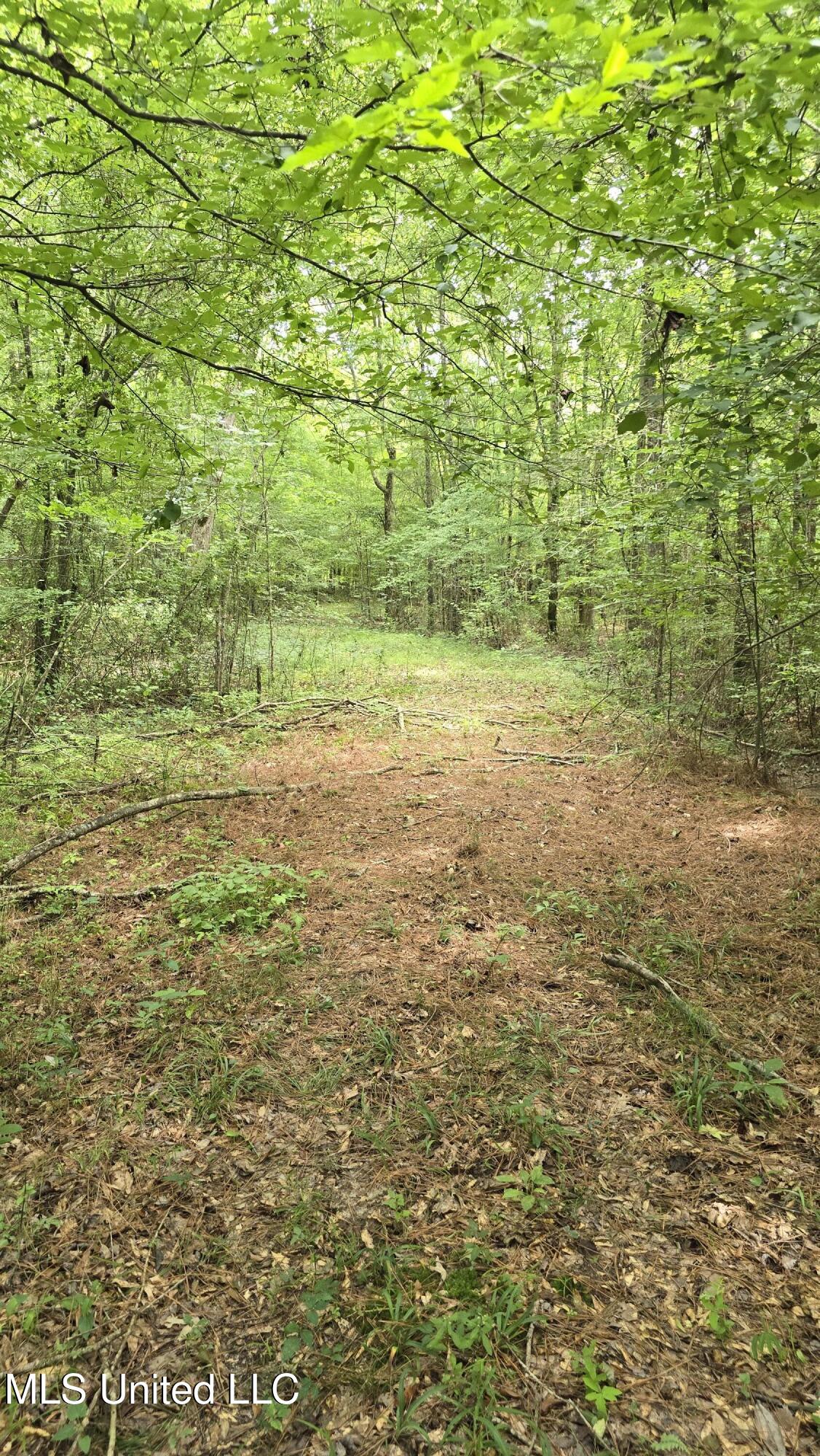 Pearson Road Property Photo 10