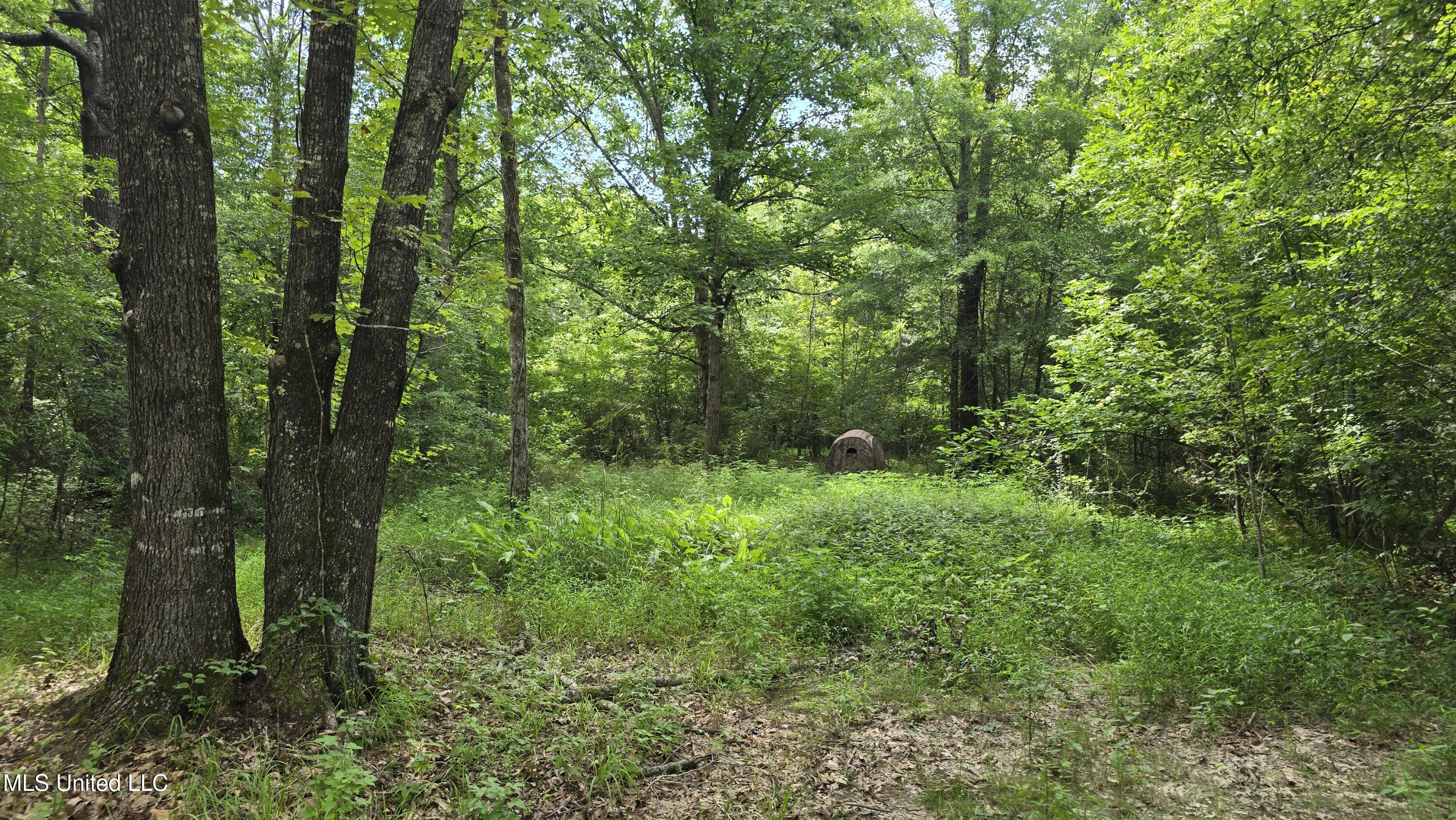 Pearson Road Property Photo 17