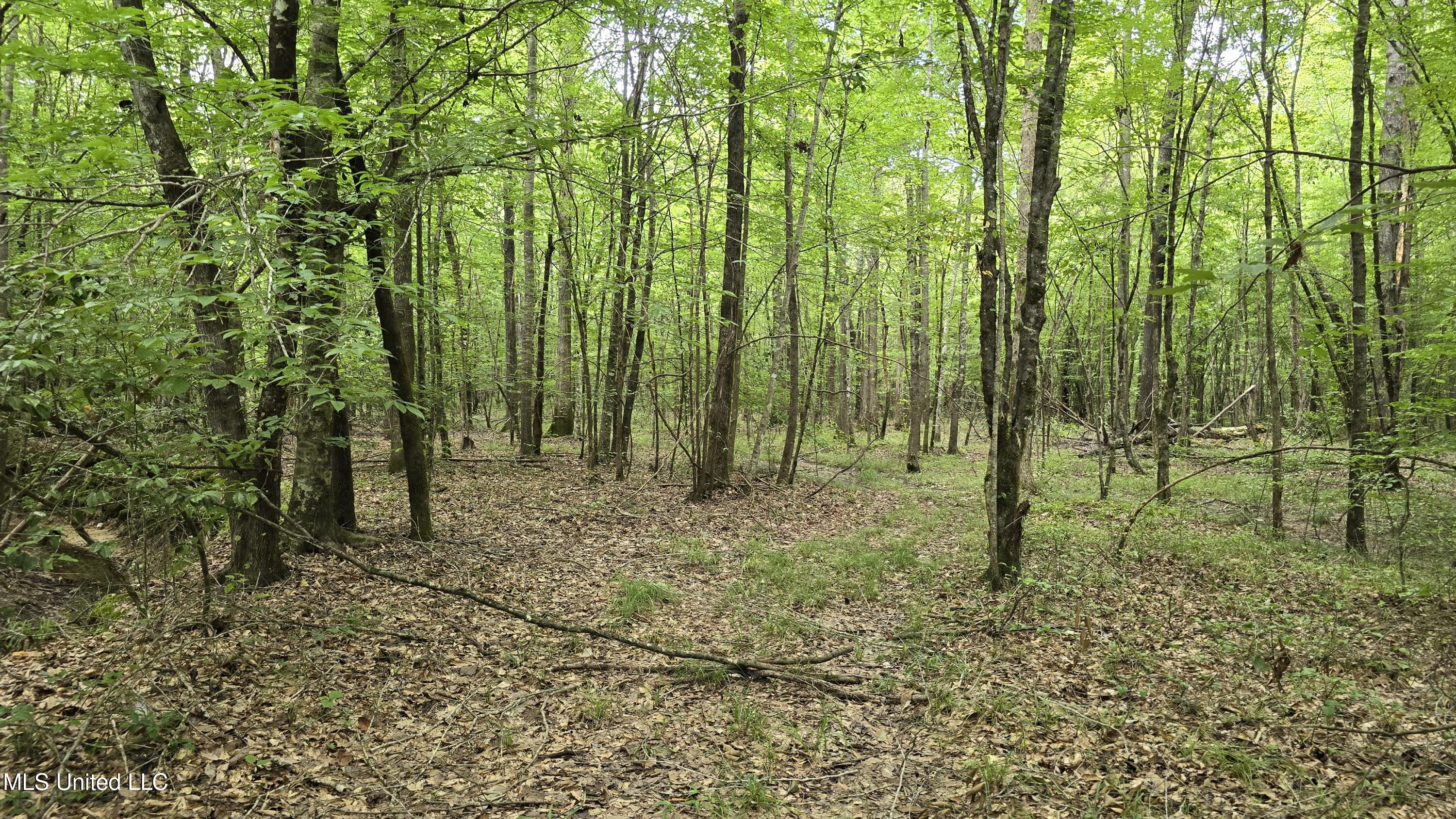 Pearson Road Property Photo 25