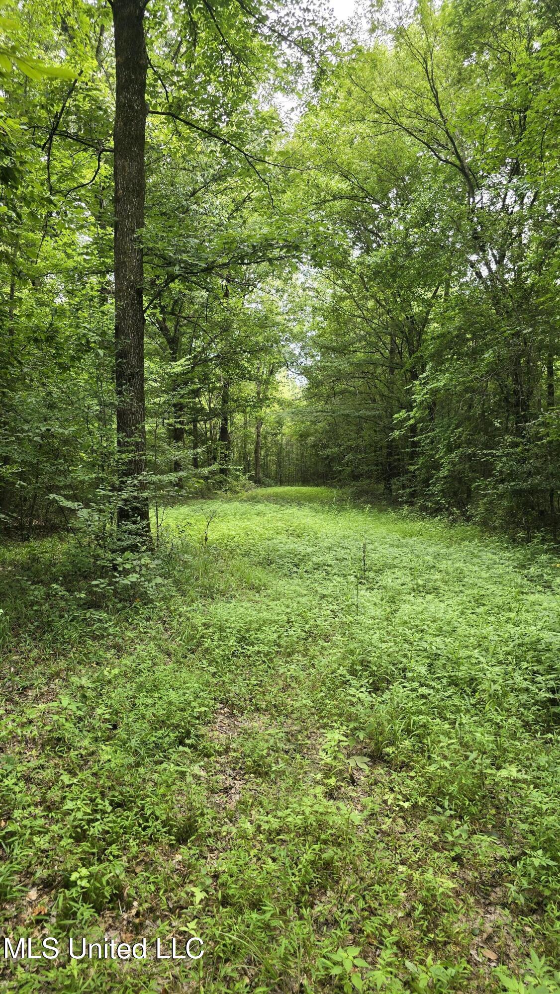 Pearson Road Property Photo 29