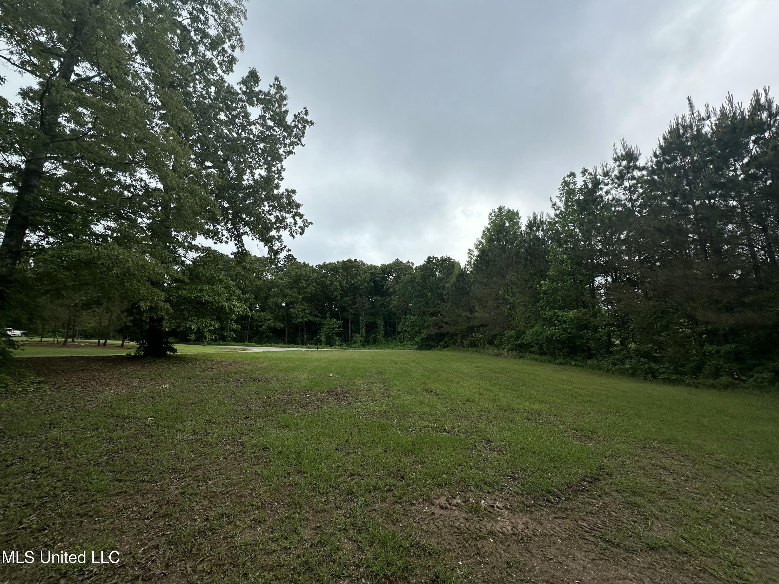 Kite Cove Property Photo 6