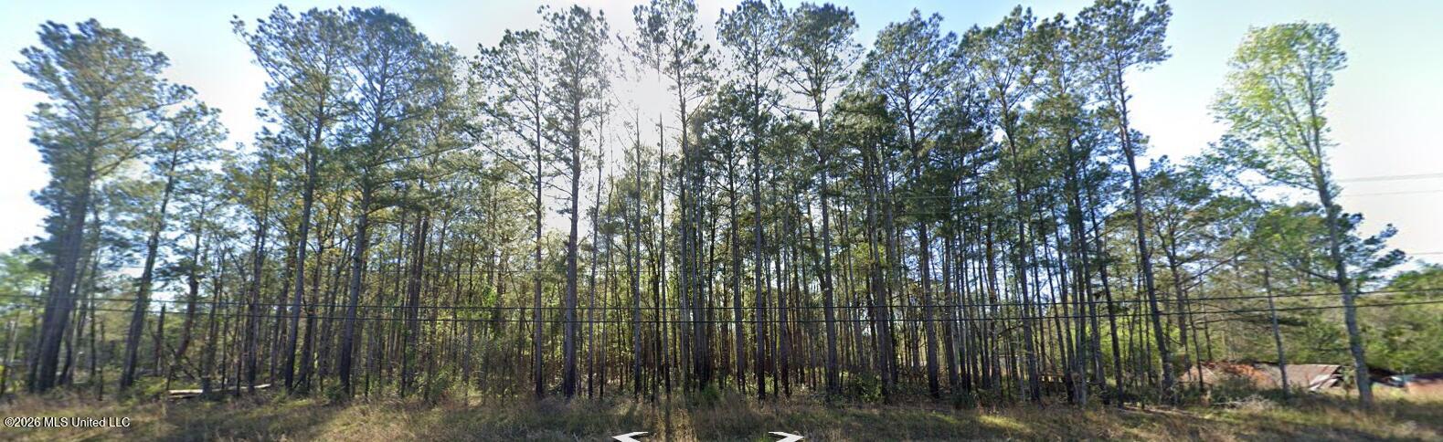 Highway 35 Property Photo 4