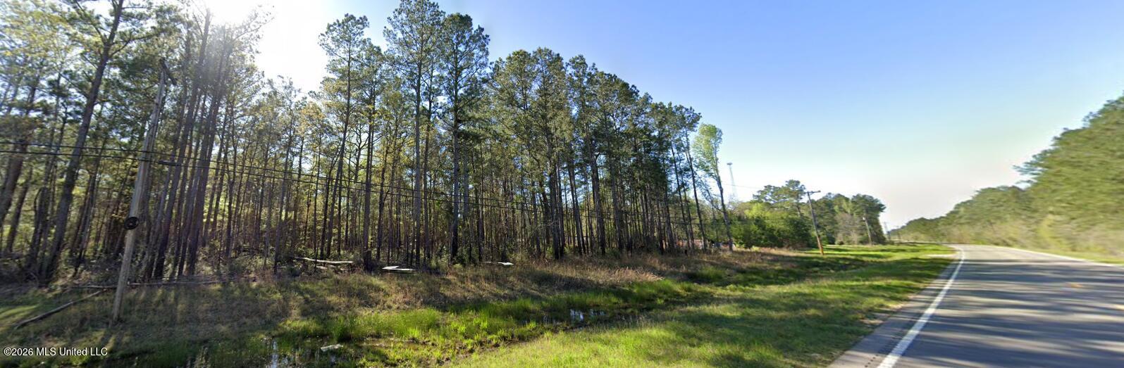 Highway 35 Property Photo 5