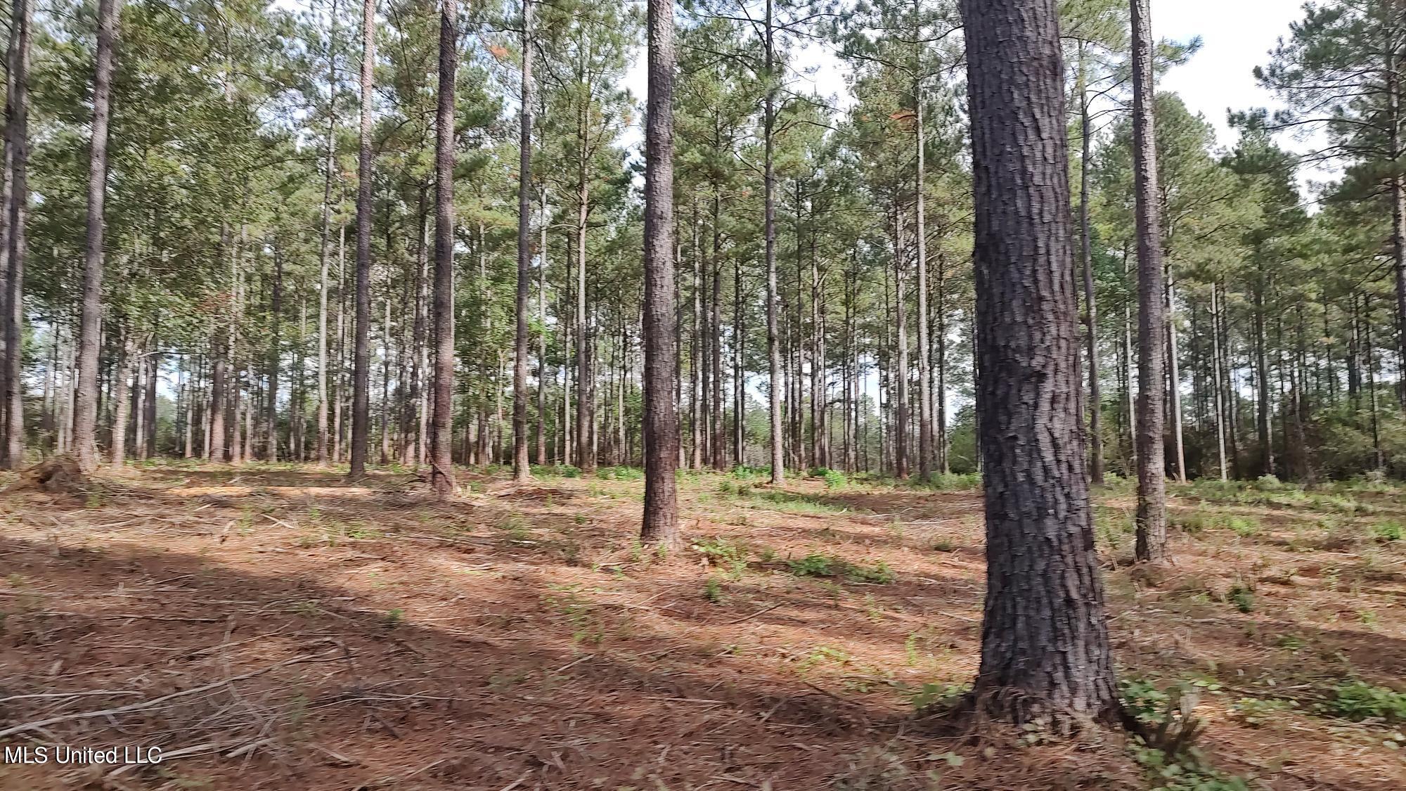 5279 Ms-13 Property Photo 38