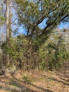 48th Avenue Property Photo 1