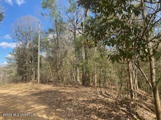 Turkey Creek Road Property Photo 1