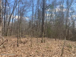 Turkey Creek Road Property Photo 2