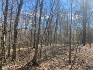 Turkey Creek Road Property Photo 3
