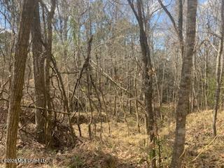 Turkey Creek Road Property Photo 4