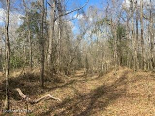 Turkey Creek Road Property Photo 5
