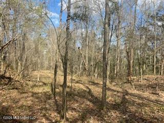 Turkey Creek Road Property Photo 6