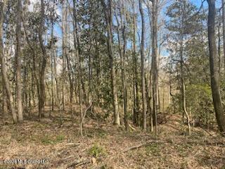 Turkey Creek Road Property Photo 7