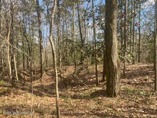 Turkey Creek Road Property Photo 8