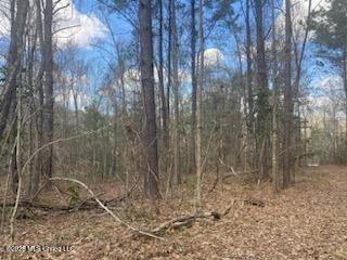 Turkey Creek Road Property Photo 9