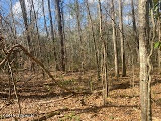 Turkey Creek Road Property Photo 10