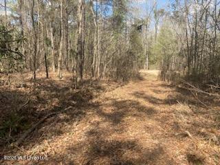 Turkey Creek Road Property Photo 11