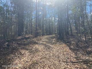 Turkey Creek Road Property Photo 12