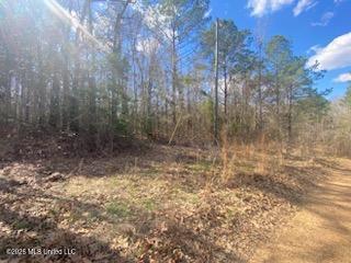Turkey Creek Road Property Photo 13