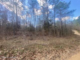 Turkey Creek Road Property Photo 14
