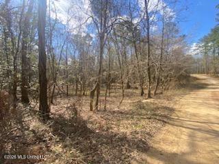 Turkey Creek Road Property Photo 15